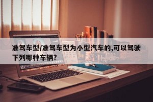 准驾车型/准驾车型为小型汽车的,可以驾驶下列哪种车辆?